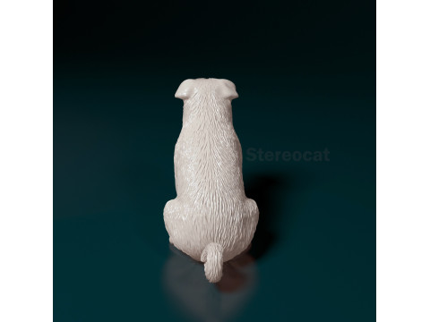 American Lo-Sze pugg 3D Print Model