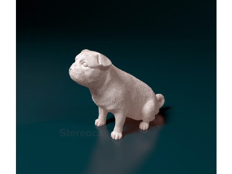 American Lo-Sze pugg 3D Print Model