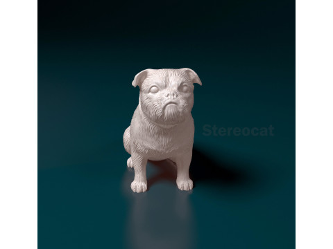 American Lo-Sze pugg 3D Print Model