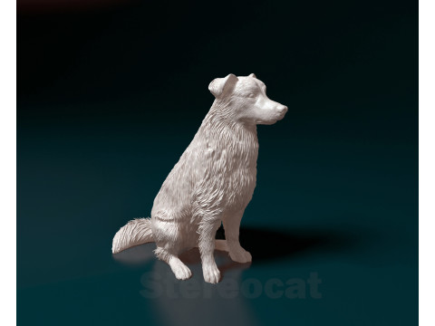 Aussie 06 Modelo de Impressão 3D
