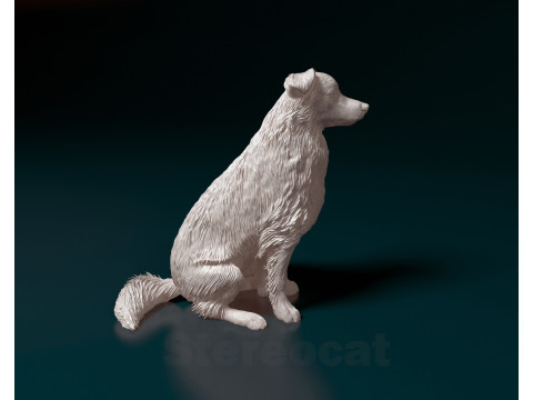 Aussie 06 Modèles 3D en vedette