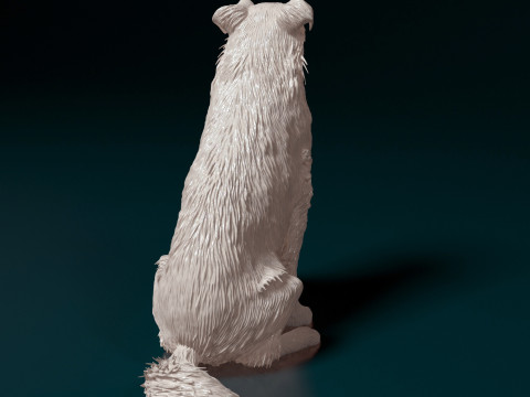 Aussie 06 Modèles 3D en vedette