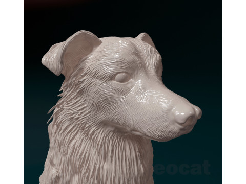 Aussie 06 Modèles 3D en vedette