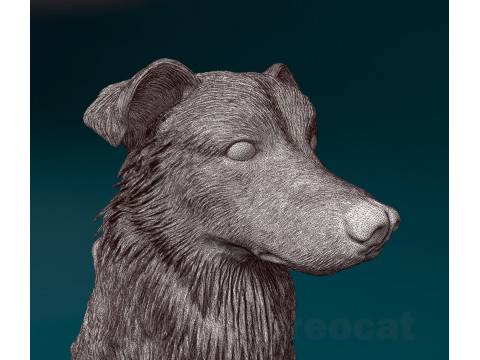 Aussie 06 Modèles 3D en vedette