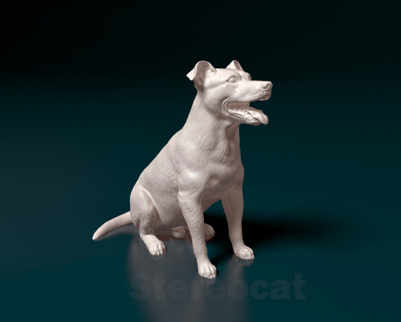 Mixed breed dog 3D-Druckmodell .c4d .max .obj .3ds .fbx .stl .blend 