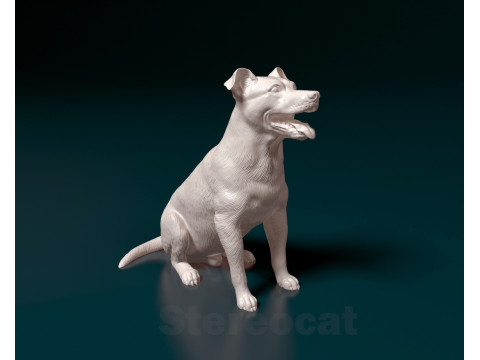Mixed breed dog Modelo de Impressão 3D