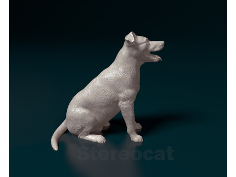 Mixed breed dog 3D-Druckmodell