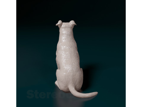 Mixed breed dog 3D-Druckmodell