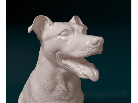 Mixed breed dog 3D-Druckmodell