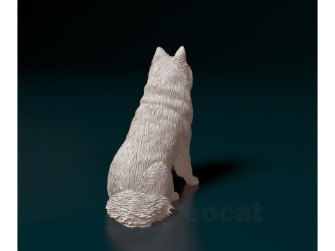 Eurasier dog Modello di stampa 3D