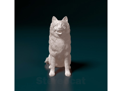 Eurasier dog Modello di stampa 3D