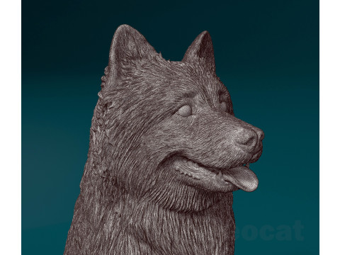Eurasier dog Modello di stampa 3D