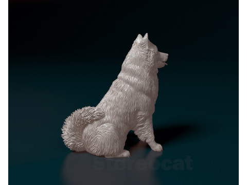 Eurasier dog Modello di stampa 3D