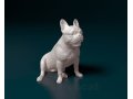 Buldog francuski Model do druku 3D