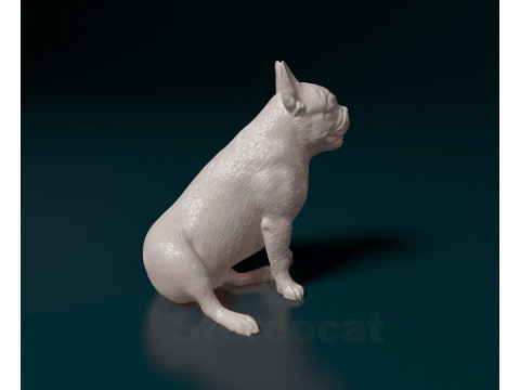 French Bulldog Modelo de Impressão 3D