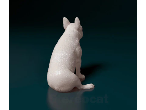 French Bulldog 3D Print Model