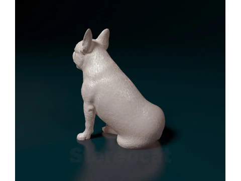 French Bulldog 3D Print Model