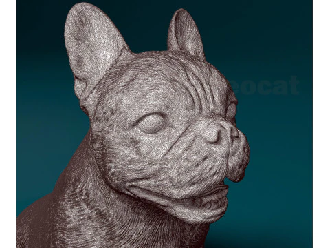 French Bulldog 3D Print Model