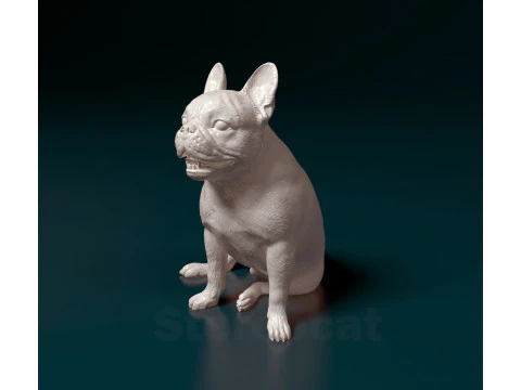 French Bulldog 3D Print Model