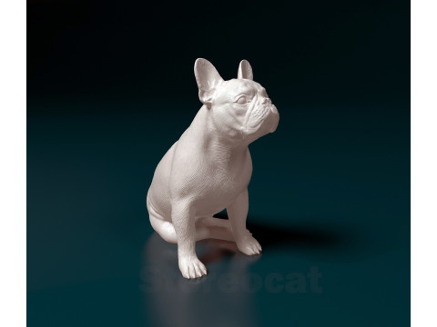 French Bulldog 014 3D Baskı Modeli