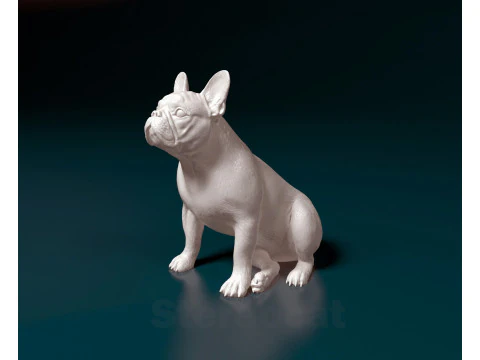 French Bulldog 014 3D Print Model
