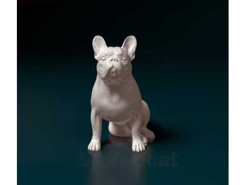 French Bulldog 014 3D Print Model