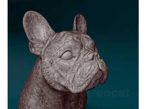 French Bulldog 014 3D Print Model