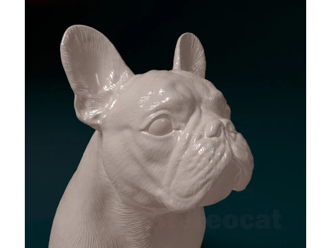 French Bulldog 014 3D Print Model