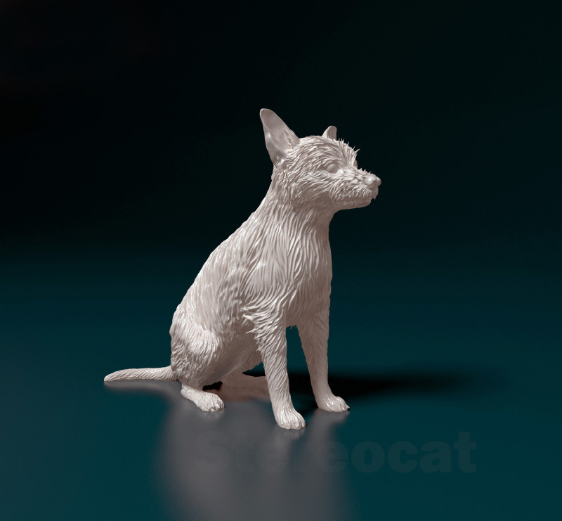 Chihuahua mix dog Modello di stampa 3D .c4d .max .obj .3ds .fbx .stl .blend 