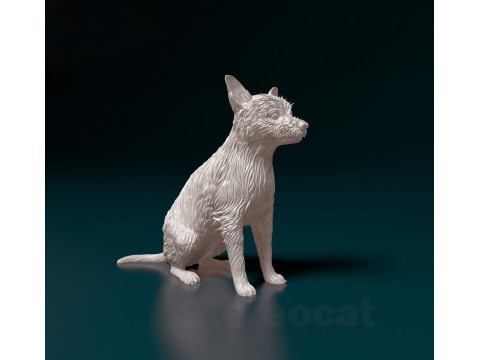 Chihuahua mix dog 3D प्रिंट मॉडल