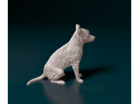 Chihuahua mix dog Modello di stampa 3D