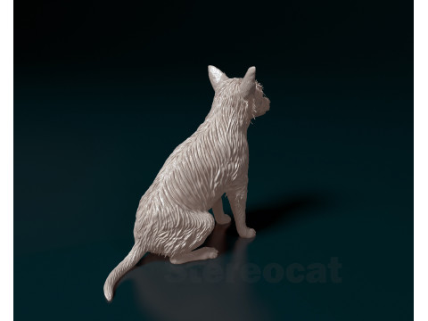 Chihuahua mix dog Modello di stampa 3D