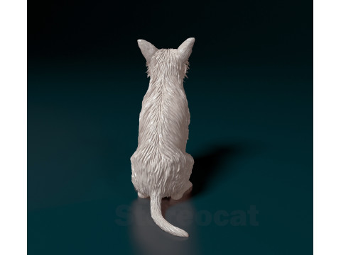 Chihuahua mix dog Modello di stampa 3D