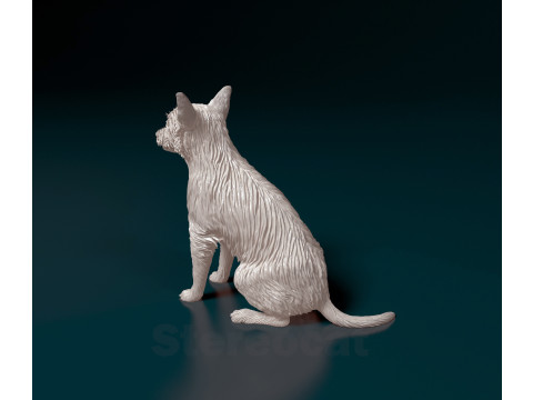 Chihuahua mix dog Modello di stampa 3D