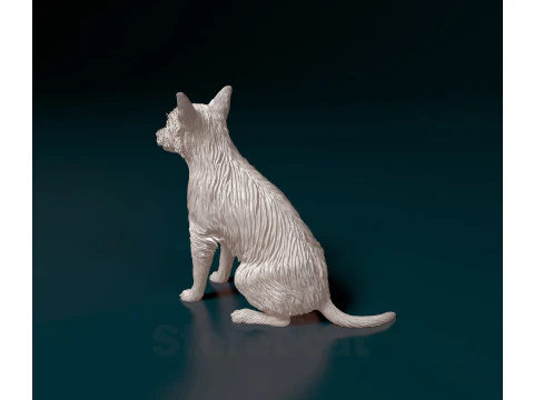 Chihuahua mix dog 3D Print Model