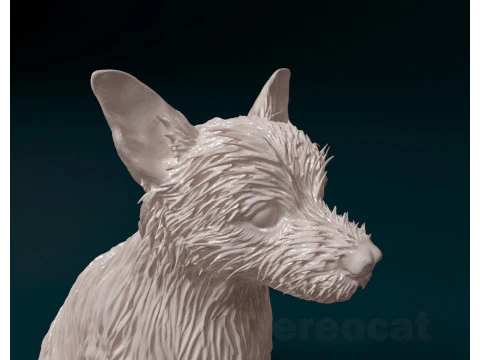 Chihuahua mix dog 3D Print Model