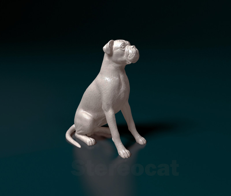 Boxer dog 3Dプリントモデル .c4d .max .obj .3ds .fbx .stl .blend