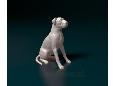 Boxer dog 3D 프린트 모델