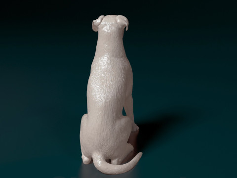 Boxer dog 3Dプリントモデル