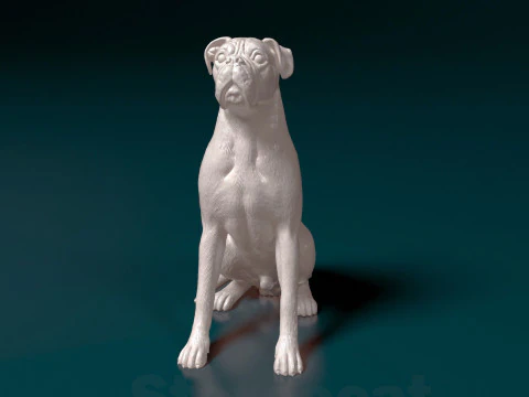 Boxer dog 3D Print Model