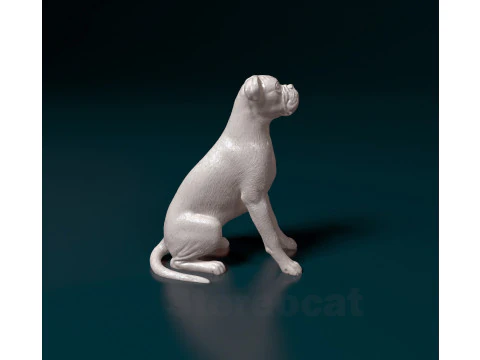 Boxer dog 3D Print Model