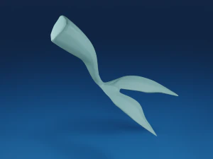 La coda di un pesce Modello 3D