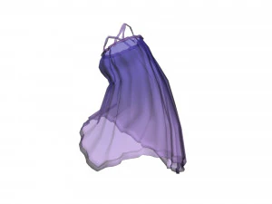Clothes5 3D Model
