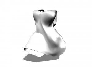 Clothes1 3D Model