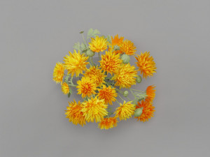 Flower 3D Model