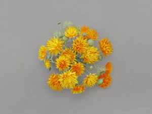 Flower 3D Model