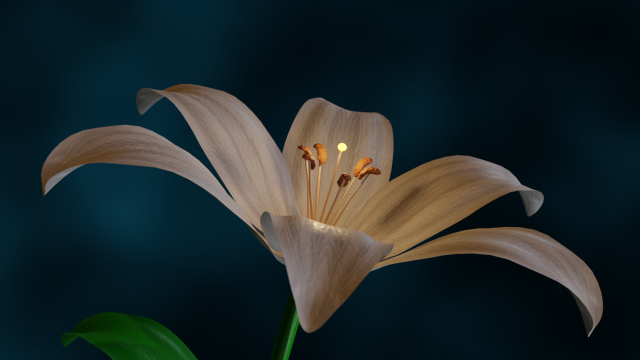 Lily-flower 3D Модель .c4d .max .obj .3ds .fbx .stl .blend 