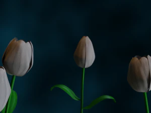 Lily-flower 3D Model