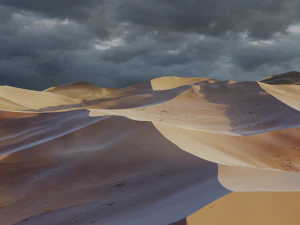 Desert Landscape 3D Model