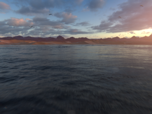 Desert Ocean Landscape Modelo 3D